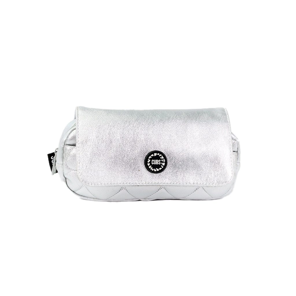 Shiny Silver High School Pencil Case