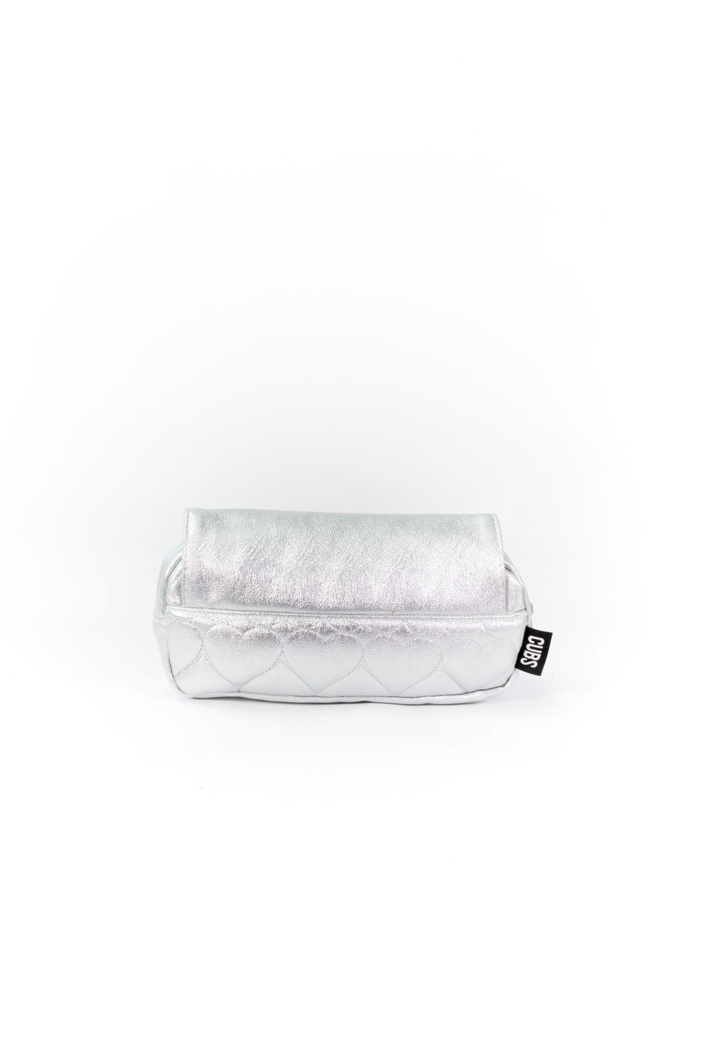 Shiny Silver High School Pencil Case