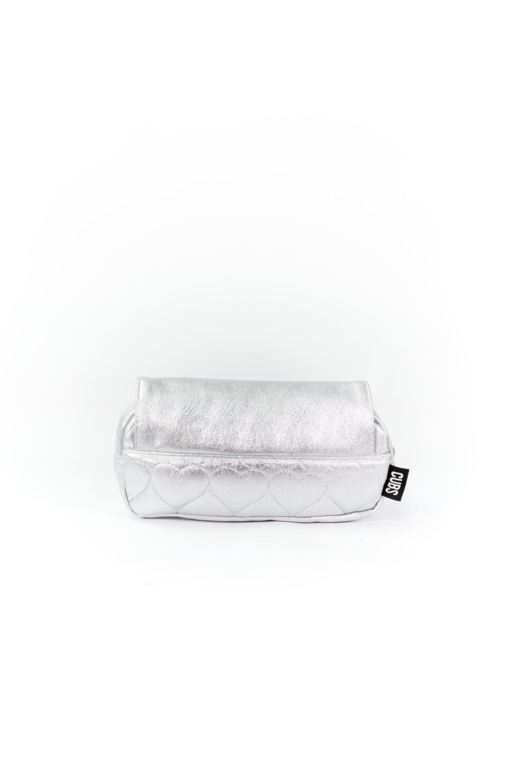 Shiny Silver High School Pencil Case